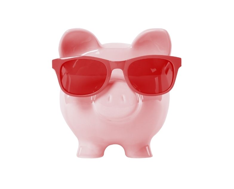 Sparschwein mit Sonnenbrille in den Win-CASA Farben